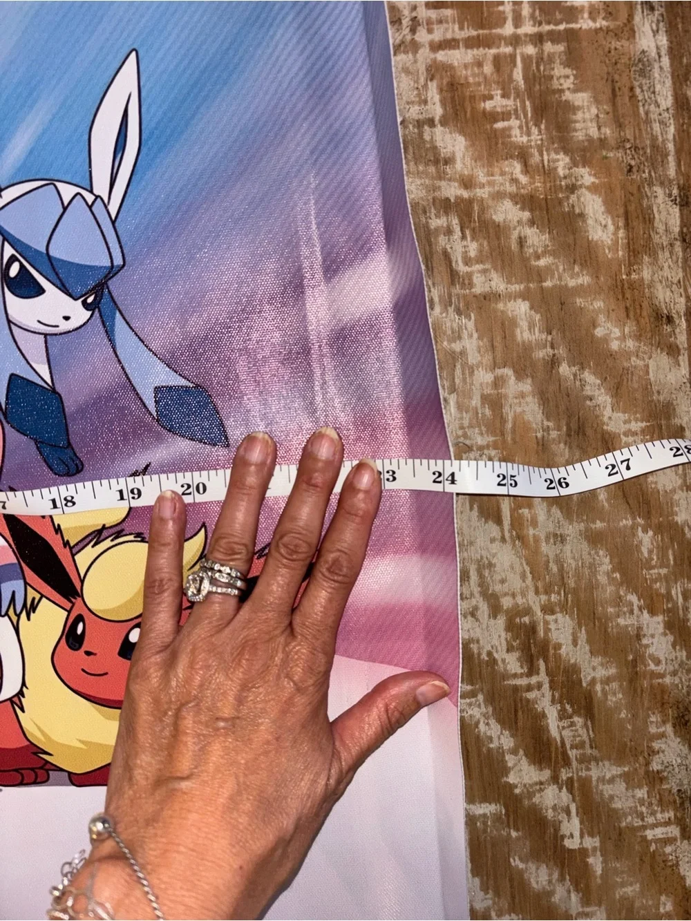 Pokémon Eevee Evolutions Pikachu Fabric Wall Poster Banner 24x16